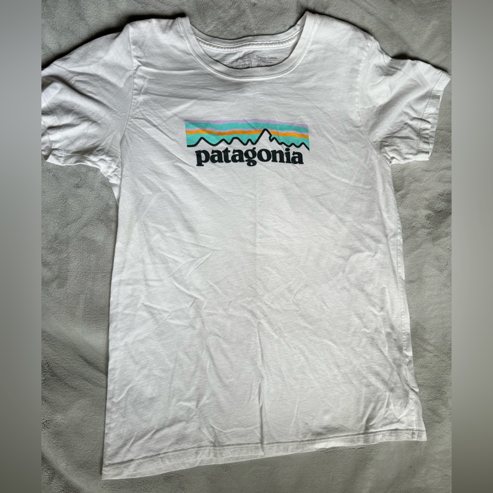 Patagonia graphic tee women’s